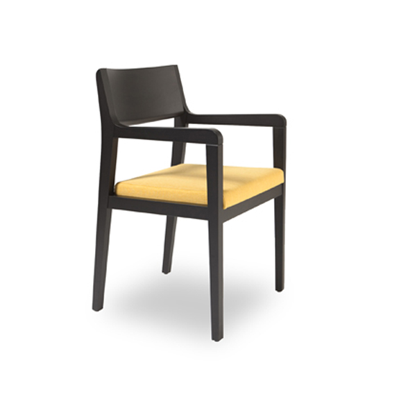Amarcord-P Arm Chair
